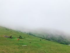 -大姆山草场