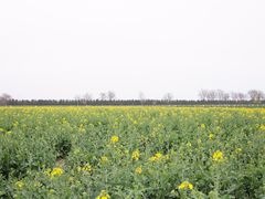 -汉长安城未央宫国家考古遗址公园