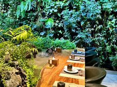 -森味薪火烧•烧鸟居酒屋•日本料理(望京店)