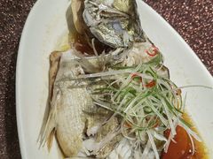 清蒸鲈鱼-绿雅酒家(江西中路店)
