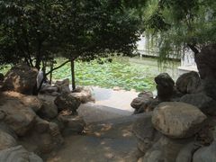 景点-莲湖公园