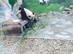 -西安秦岭野生动物园