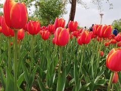 -长春公园(普阳街道)