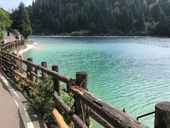 -武陵山森林公园