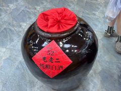 -屯老二农家铁锅炖·行业领军者(梅江店)