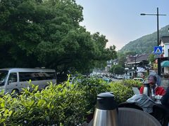 -春娟茶楼·地道农家菜(梅家坞店)