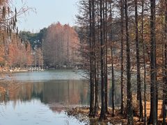-尚湖风景区
