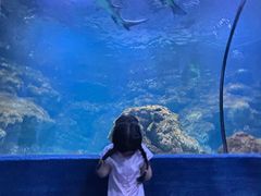 -南昌海洋公园