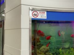 -雅悦齿科(顾村公园店)