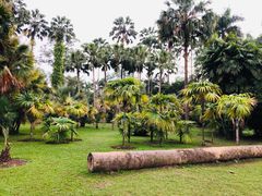 -中国科学院西双版纳热带植物园