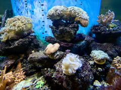 -碧中海汤泉汗蒸酒店