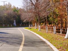 -长春世界雕塑园冰雪艺术天地