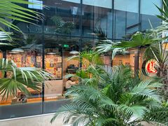 -日出拉面(望京店)