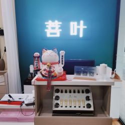 -菩叶脱发白发中心
