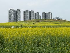 -光明小镇欢乐田园