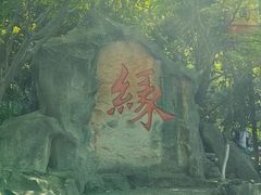 -杭州黄龙洞