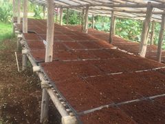 -Ohkajhu Organic Farm Sansai