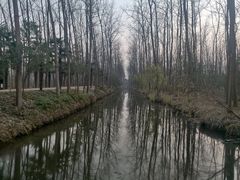 -合肥滨湖国家森林公园