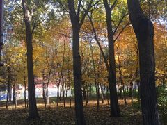 -长春公园(普阳街道)