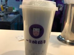 -一只酸奶牛(八一路店)