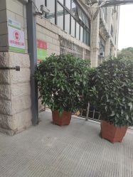 -云南玛莉亚医院