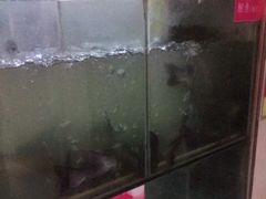 -天香石锅鱼(永兴路店)