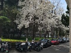 -南京航空航天大学(明故宫校区)