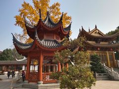 -上海东林寺(金山区)