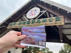 -上海海湾国家森林公园