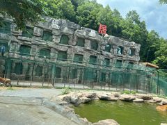 -栾川竹海野生动物园