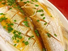 -呼吸森林·生态农庄农家乐私房菜