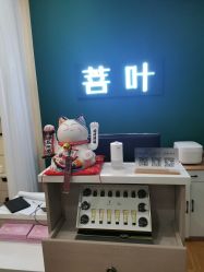 -菩叶脱发白发中心