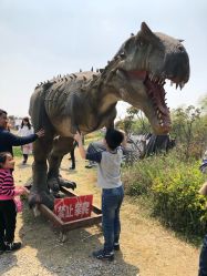 点击看大图 -水八仙生态园