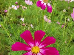 -帽儿山国家森林公园