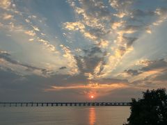 -宝安西湾红树林湿地公园