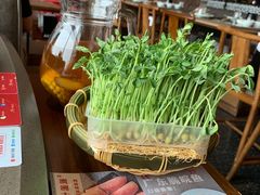 -捞王锅物料理(上海世茂广场店)