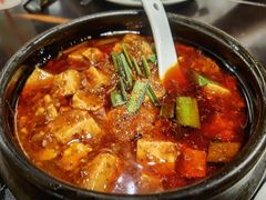 -陈麻婆豆腐总店