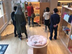 -Pets First伊珊娜洗护·精致美容·家庭式寄养(新会路店)
