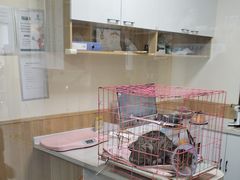 -瑞派宠物医院·24h·骨外科·皮肤科·全科宠物医疗转诊中心(沈阳浑南院)