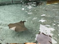 -新加坡水上探险乐园