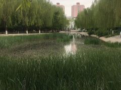 -丰台科技园生态主题公园