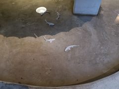 -瓦库茶馆17号(海汇港店)