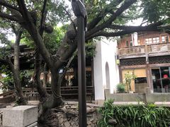 -青咖啡(三坊七巷店)