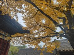 -红螺寺