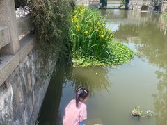 -阿马土菜馆