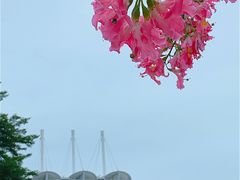 -海心沙亚运公园