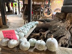 -园林美食城·本土农家菜(杨和镇店)