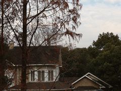 -J Create城市露营咖啡·简餐·宠物(上海动物园店)