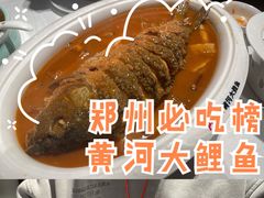 -阿五黄河大鲤鱼(纬三路店)
