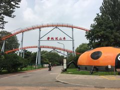 -朝阳公园游乐园